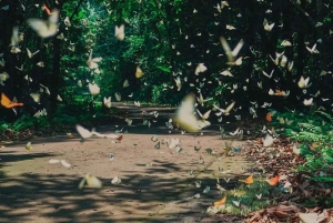 Ninh Binh: dzikie zwierzęta, wędrówka po dżungli, wycieczka z przewodnikiem po parku Cuc Phuong