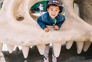 Novaworld Phan Thiet : combo de 5 parcs d'attractions incroyables