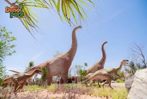 Novaworld Phan Thiet : combo de 5 parcs d'attractions incroyables