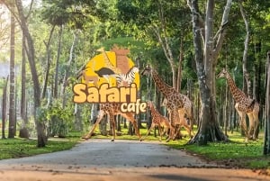 Novaworld Phan Thiet : parc à thème Safari Café