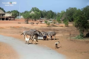 Novaworld Phan Thiet : parc à thème Safari Café