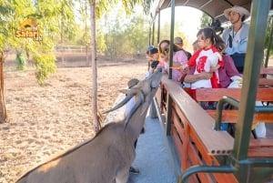 Novaworld Phan Thiet : parc à thème Safari Café