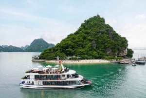 Pamela Cruise: HaLong Bay day trip with Lunch & Activities