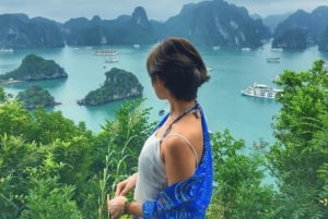 Pamela Cruise: HaLong Bay day trip with Lunch & Activities