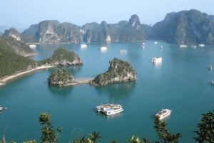 Pamela Cruise: HaLong Bay day trip with Lunch & Activities