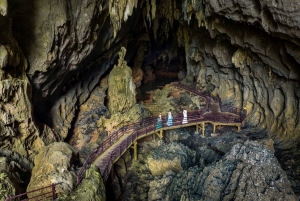 Caverna Paradise e Caverna Dark: viagem de 1 dia e Discover Zipline
