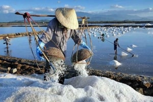 Phan Rang Full-Day: Hang Rai, Vinh Hy, Vineyard & Sheep Farm