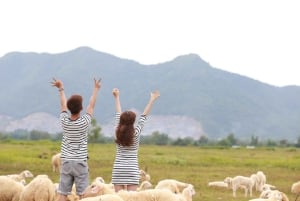 Phan Rang Full-Day: Hang Rai, Vinh Hy, Vineyard & Sheep Farm