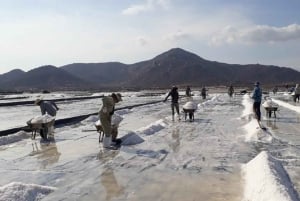 Phan Rang Full-Day: Hang Rai, Vinh Hy, Vineyard & Sheep Farm