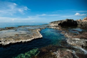 Phan Rang Full-Day: Hang Rai, Vinh Hy, Vineyard & Sheep Farm