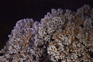 Phong Nha: Excursión de 2 días a la Cueva Oscura del Valle Abandonado y a la Cueva E