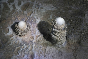 Phong Nha: Excursión de 2 días a la Cueva Oscura del Valle Abandonado y a la Cueva E