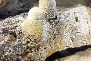 Phong Nha: Excursión de 2 días a la Cueva Oscura del Valle Abandonado y a la Cueva E