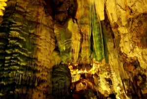 Phong Nha: Cave Exploration and Zipline Dark Cave Tour