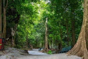 Phong Nha: Commander Cave All-Inclusive Admission Ticket