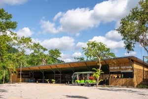 Phong Nha: Commander Cave All-Inclusive Admission Ticket