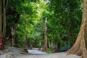 Phong Nha: Commander Cave All-Inclusive Admission Ticket