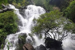 Phong Nha - Paradise Cave & Dark Cave or Duck Farm in needed