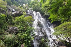 Phong Nha - Paradise Cave & Dark Cave or Duck Farm in needed