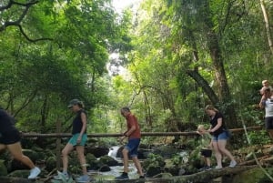 Phong Nha - Paradise Cave & Dark Cave or Duck Farm in needed