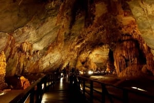 Phong Nha - Paradise Cave & Dark Cave or Duck Farm in needed