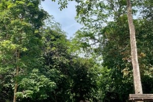 Parque Nacional de Phong Nha: tour de medio día a la cueva del Paraíso