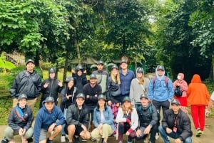 Parque Nacional de Phong Nha: tour de medio día a la cueva del Paraíso