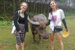 Phong Nha - Paradise Cave & Dark Cave or Duck Farm in needed