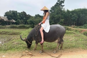 Phong Nha - Paradise Cave & Dark Cave or Duck Farm in needed