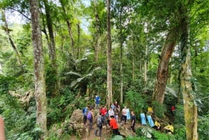 Phong Nha: Phong Nha kansallispuiston opastettu kierros lounaalla.