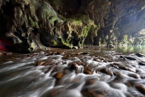 Phong Nha: Ruc Mon Höhle 1-tägige Expedition