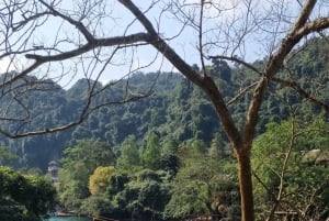 Phong Nha : Exploration en zipline de la grotte sombre et de la grotte du paradis