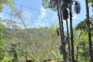 Phong Nha : Exploration en zipline de la grotte sombre et de la grotte du paradis