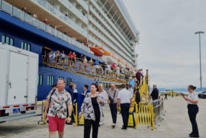 Phu My Hafen: Private Tour zum Strand von Vung Tau - Buddha-Statuen