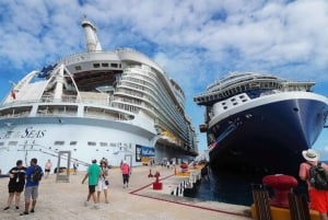 Port Phu My: Prywatna wycieczka na plażę Vung Tau - posągi Buddy