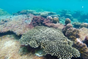 Phu Quoc: 3 Island Tour by Boat with Guide