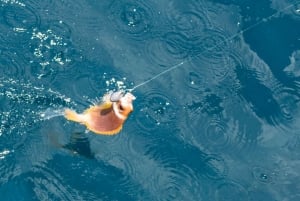 Phu Quoc: 3 Island Tour by Boat with Guide