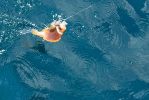Phu Quoc Trip 3: 3 Islands Full-Day Snorkeling Tour