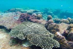 Phu Quoc Trip 3: 3 Islands Full-Day Snorkeling Tour
