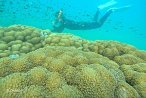 Phu Quoc: Schnorcheltour mit dem Schnellboot zu 4 Inseln & 2 Riffen