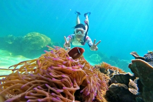 Phú Quốc : excursion en hors-bord, snorkeling sur 4 îles et 2 récifs