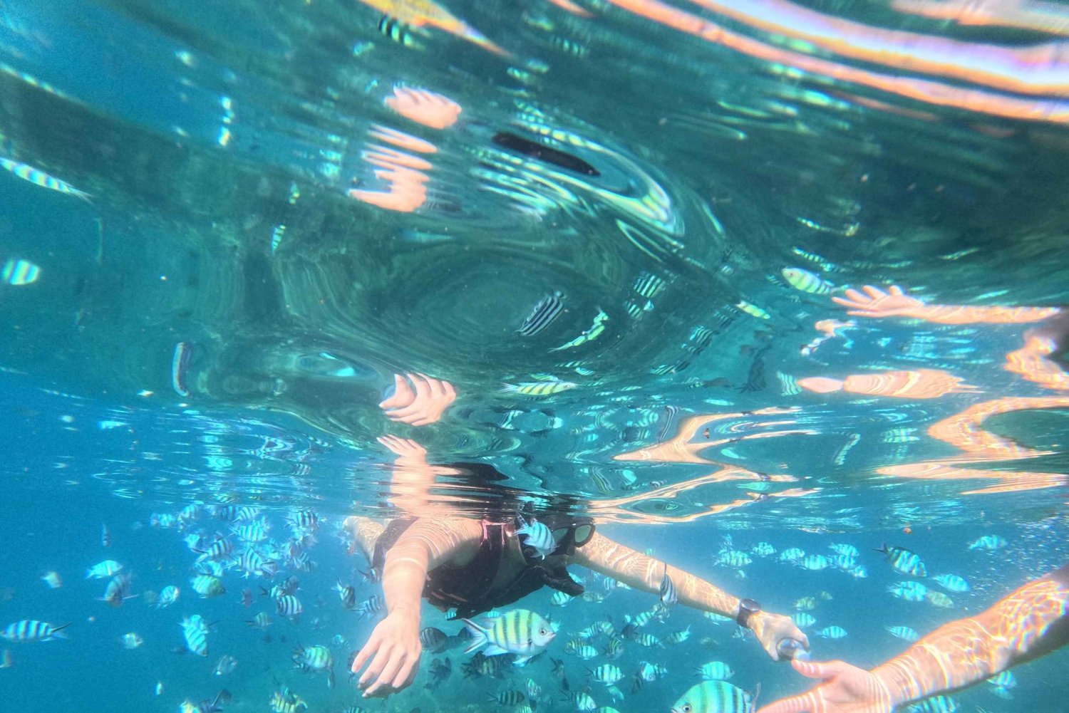 Phu Quoc: 4 Island Snorkeling & Beach BBQ Tour