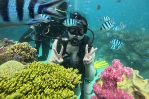 Phu Quoc: 4 Island Snorkeling & Beach BBQ Tour