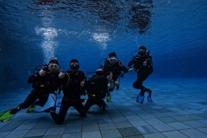 Phu Quoc: PADI Open Water Diver-kurs