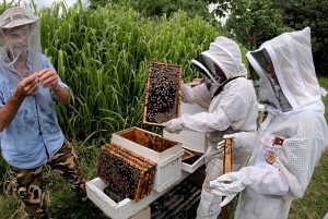 Phu Quoc: tour della fattoria del pepe e del miele con degustazioni