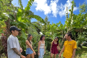 Phu Quoc: tour della fattoria del pepe e del miele con degustazioni