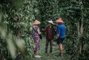 Phu Quoc: tour della fattoria del pepe e del miele con degustazioni