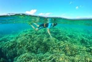 Phu Quoc Premium Small-Group Snorkeling by Speedboat