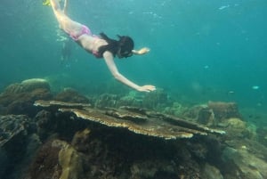 Phu Quoc: Private 3-Island Speedboat Tour with Lunch