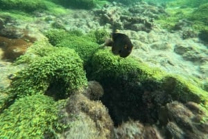 Phu Quoc: Private 3-Island Speedboat Tour with Lunch